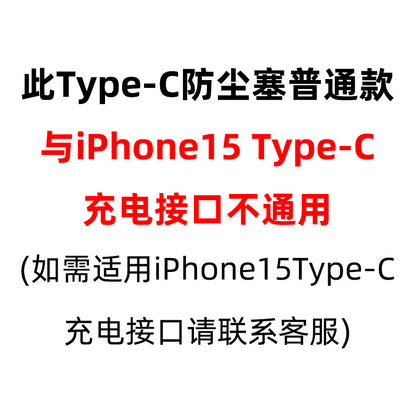 Metal USB Dust Plug for Type-C Charging Port