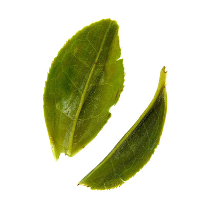 Rare Leaves Emerald - Single Estate Pi Lo Chun Green Tea